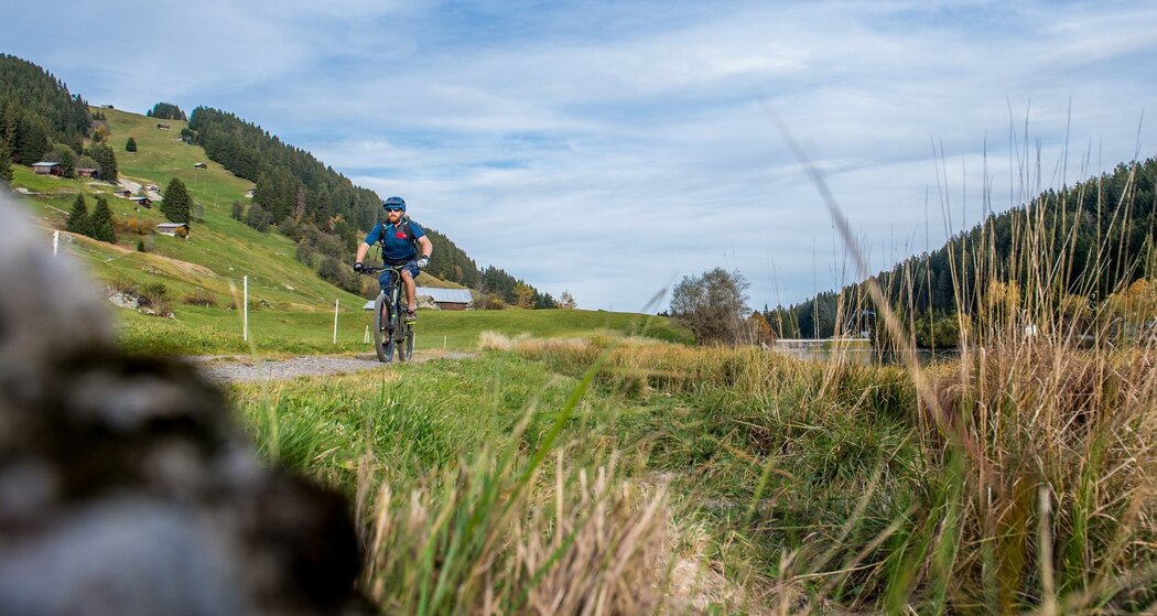 Entlang dem Brigelsersee