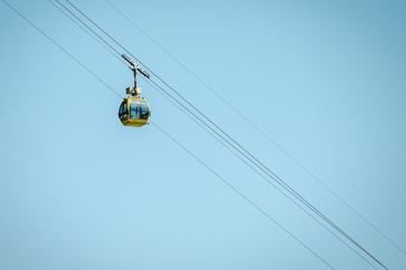 Selma - Landarenca (oua_600842312_image)