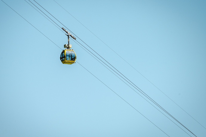 Selma - Landarenca (oua_600842312_image)