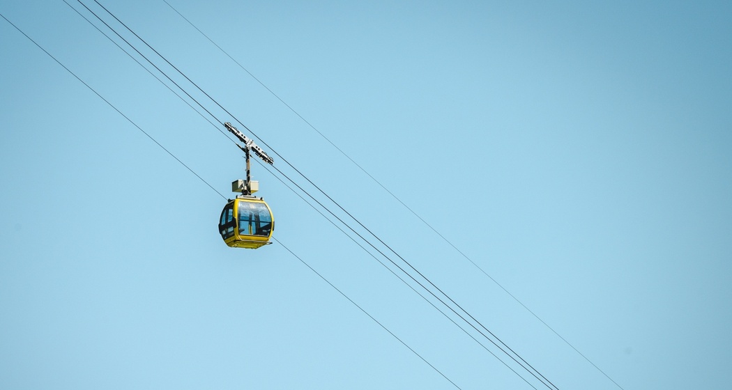 Selma - Landarenca (oua_600842312_image)