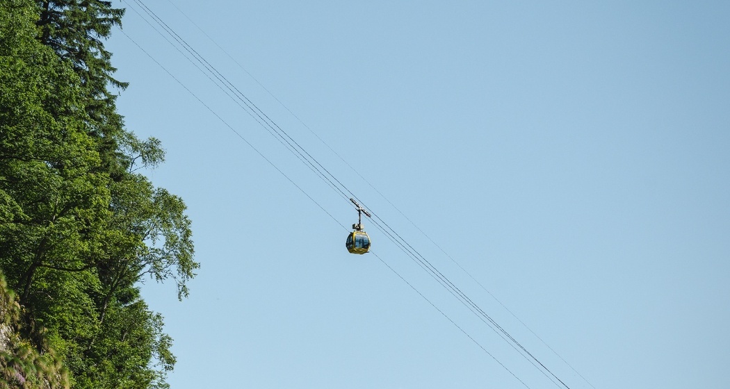 Selma - Landarenca (oua_600842314_image)