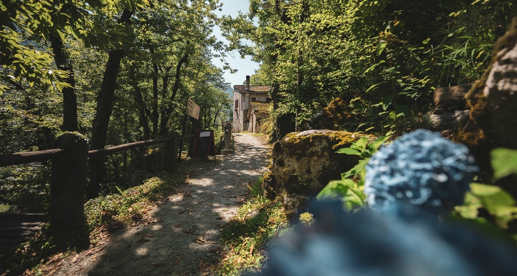 Grotto Bundi alla Bellavista (oua_600847618_image)