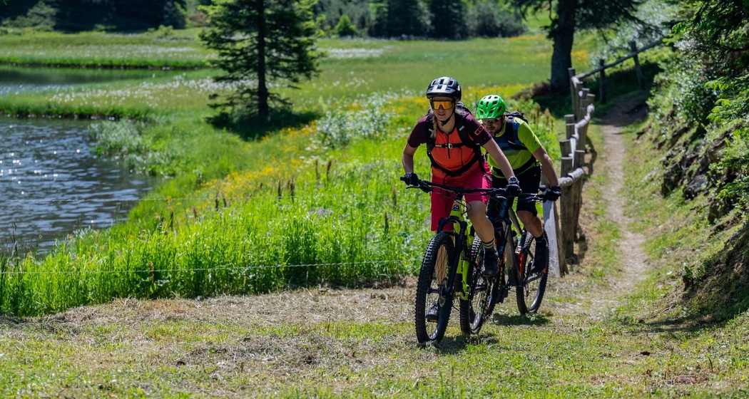 642 Pignela - San Bernardino (Mesolcina) (oua_600851146_image)