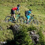 Ici, il y a des sentiers rarement fréquentés