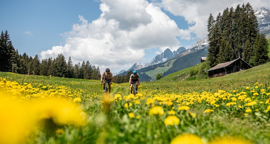 Über die Hochebene bei Migliè