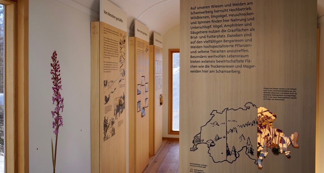 Ausstellung mia natira - Wiesen und Weiden am Schamserberg