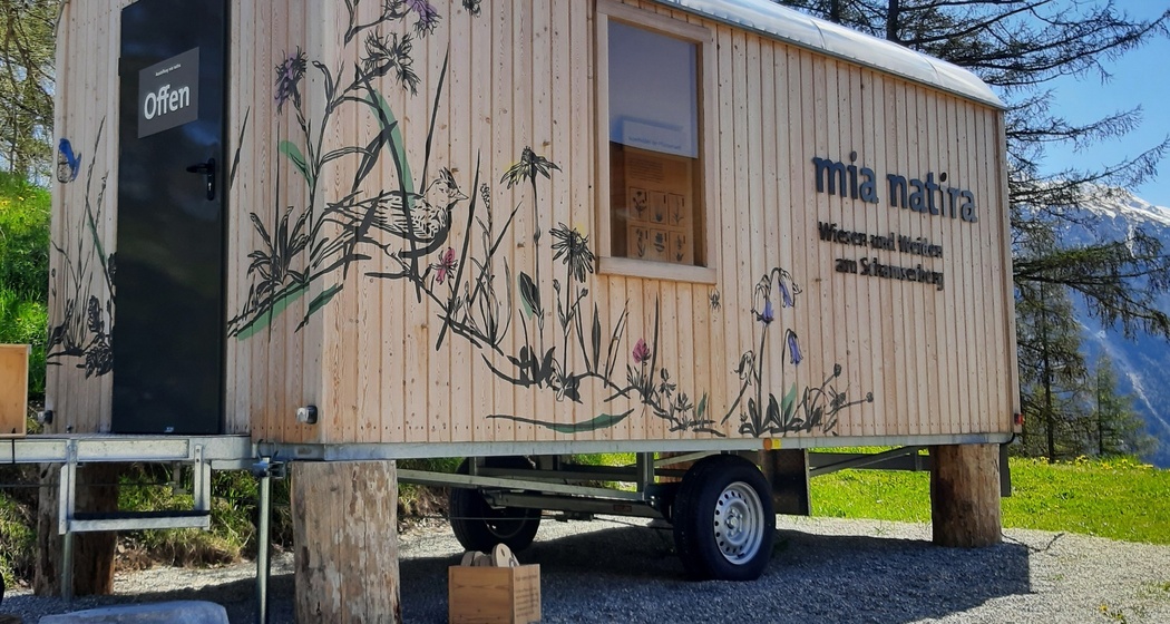 Ausstellung mia natira - Wiesen und Weiden am Schamserberg