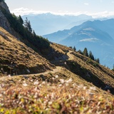 Bargis - Alp Mora - Purcs (oua_601164813_image)