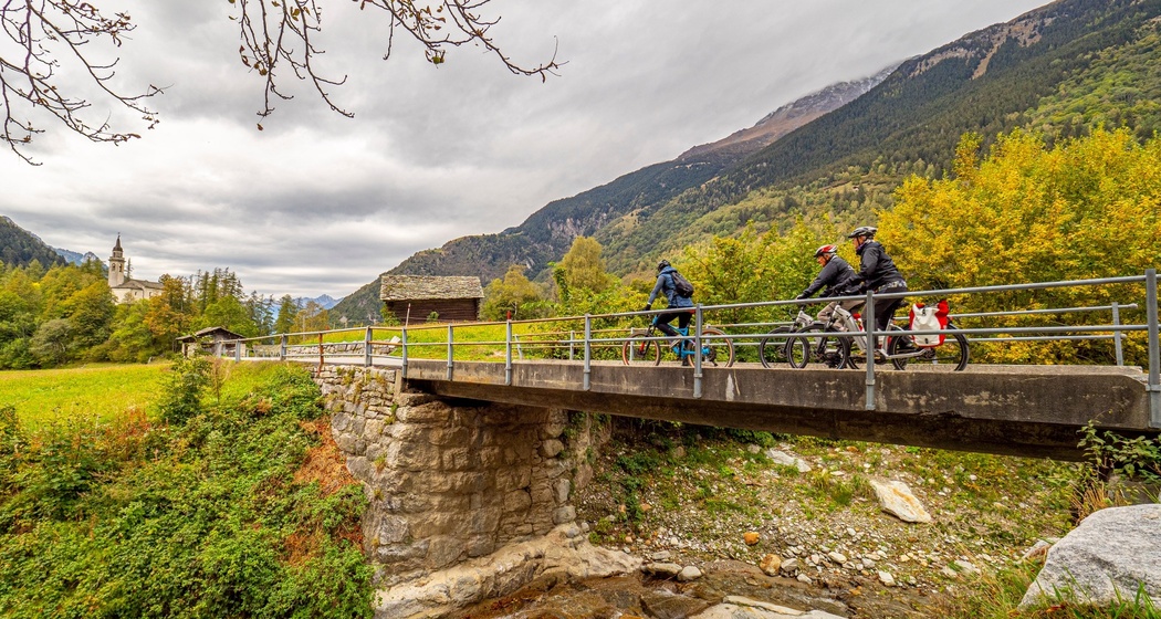 Raetica Classica (oua_601188969_image)