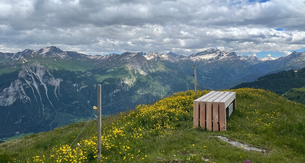 Beobachtungsbank mit Aussicht in die Val Schons bei der Alp digl Oberst