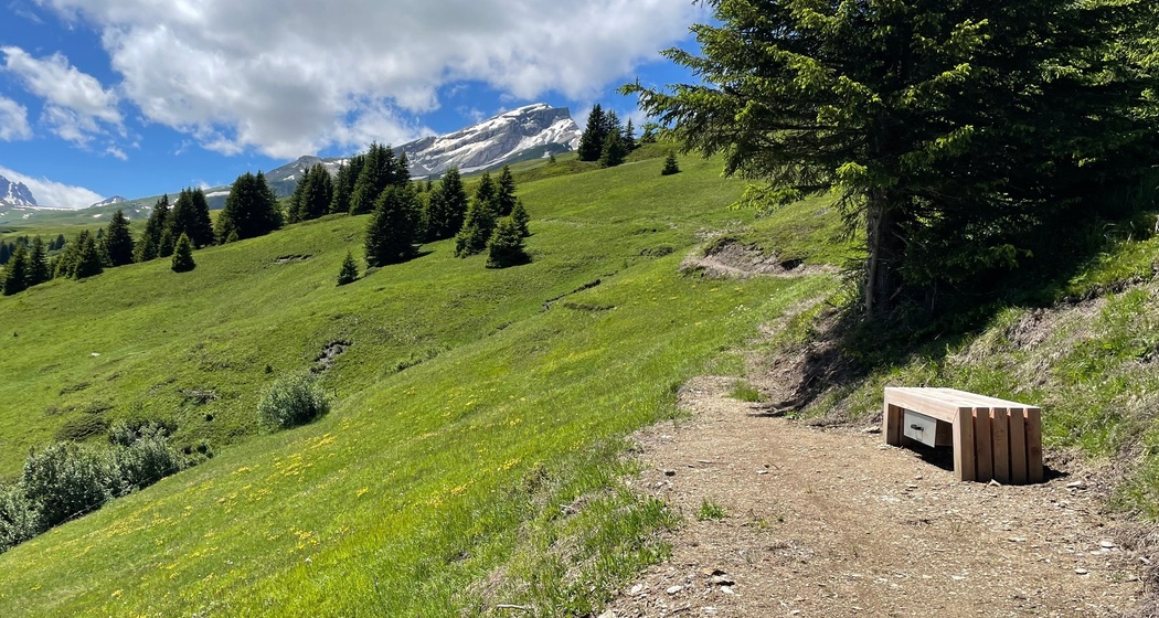 Beobachtungsbank mit Aussicht in die Val Schons bei Summapunt