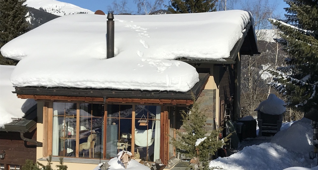 Ferienhaus Aurikel - Ansicht Winter