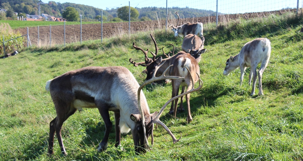 Mühlebachhof (oua_601333437_image)