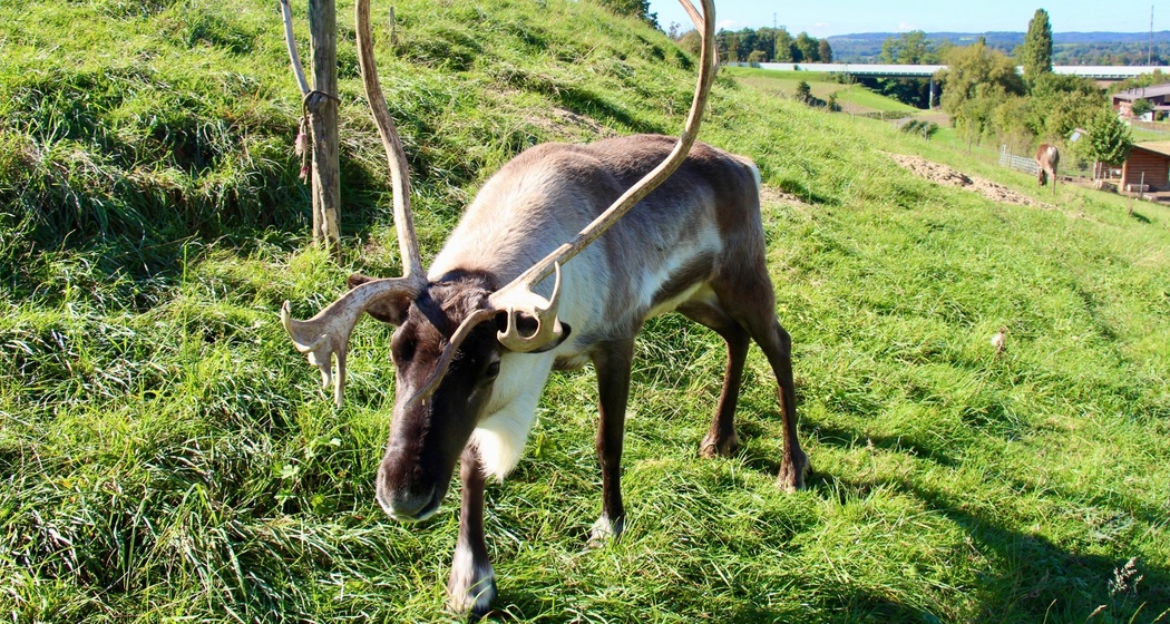 Mühlebachhof (oua_601333440_image)