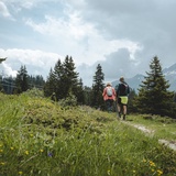 San Bernardino-Fornas-Furestin-Suossa-Fregeira-Valle del Silenzio-Alpe Piandoss-San Bernardino (oua_601458154_image)