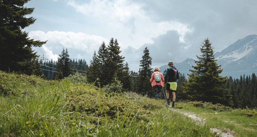 San Bernardino-Fornas-Furestin-Suossa-Fregeira-Valle del Silenzio-Alpe Piandoss-San Bernardino (oua_601458154_image)