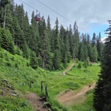 Wanderweg durch den Bike Kingdom Park
