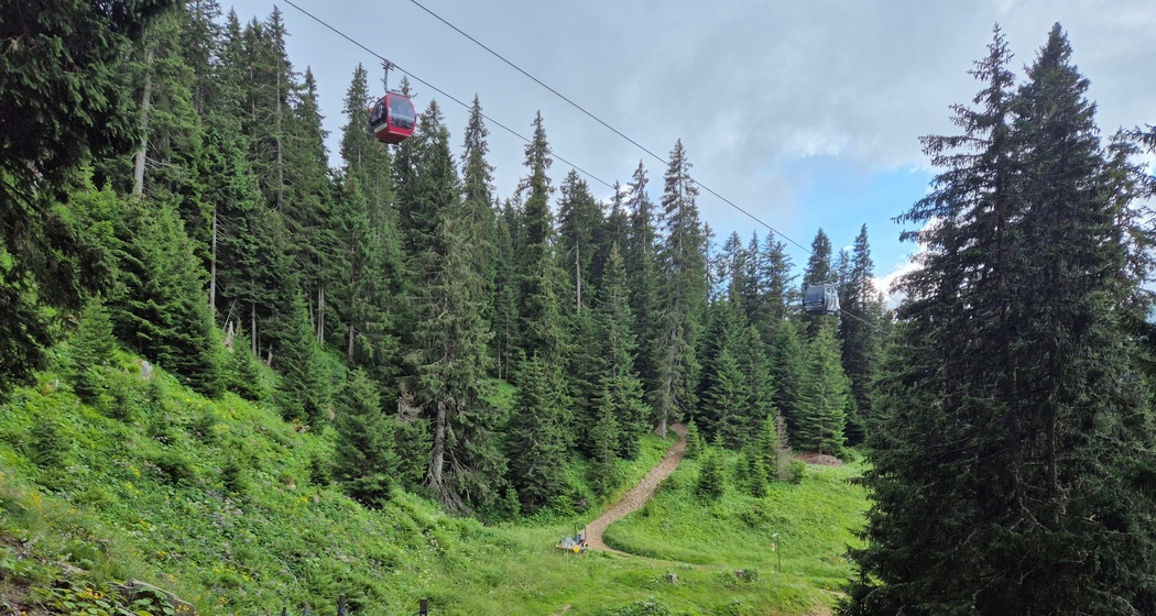 Wanderweg durch den Bike Kingdom Park