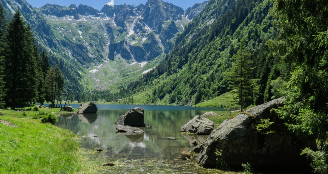 Riserva Forestale Val Cama - Val Leggia - Val Grono (oua_601700937_image)