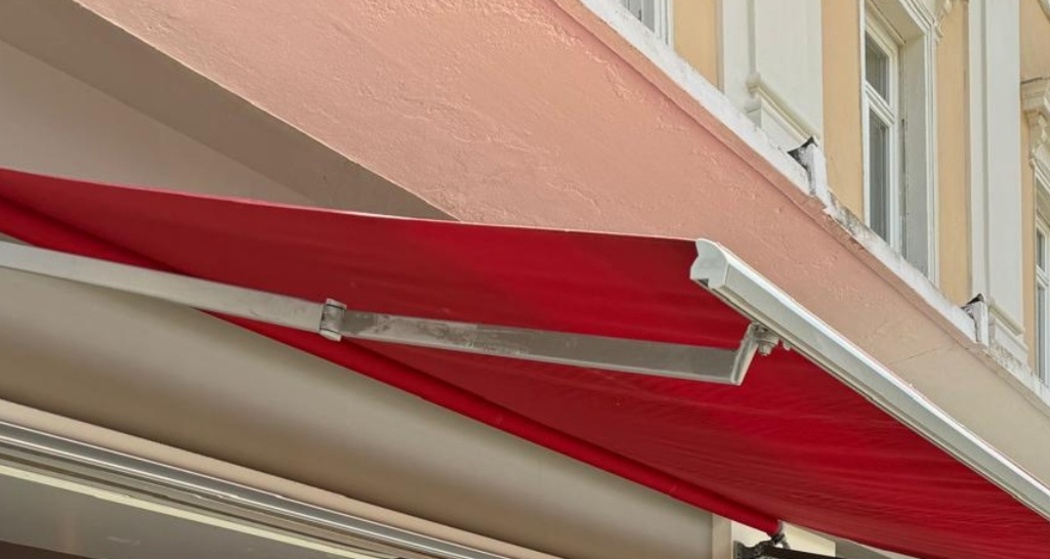 Wildflower Floristik Living Coffee Thusis