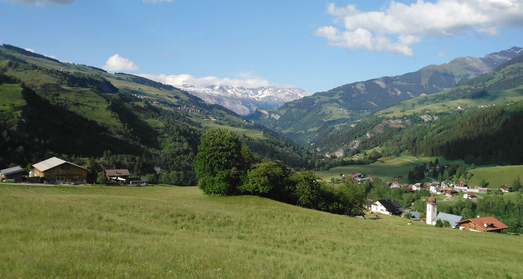 Buontads, Surcasti (oua_60188052_image)