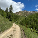 Weg zur Alp Arpiglia