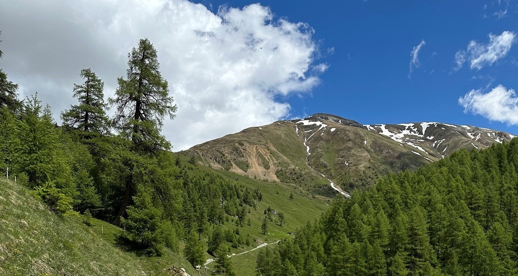 Weg zur Alp Arpiglia