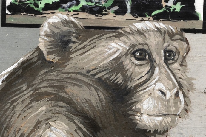 Scimmie - Pian San Giacomo - mMoMAm (oua_602081249_image)