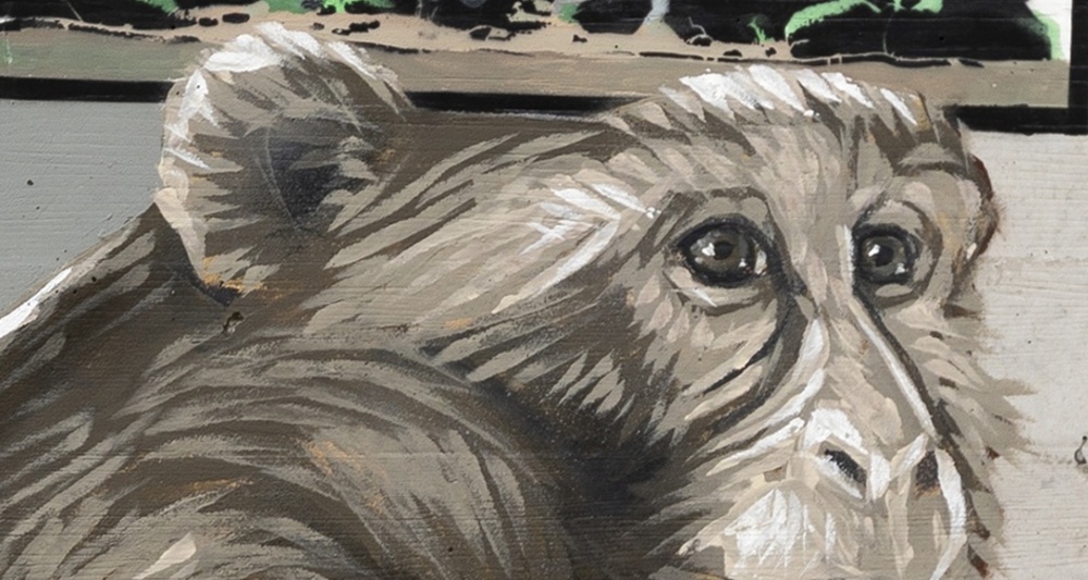 Scimmie - Pian San Giacomo - mMoMAm (oua_602081249_image)