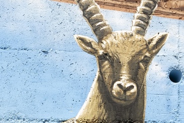 Stambecchi - Anzon - mMoMAm (oua_602105549_image)