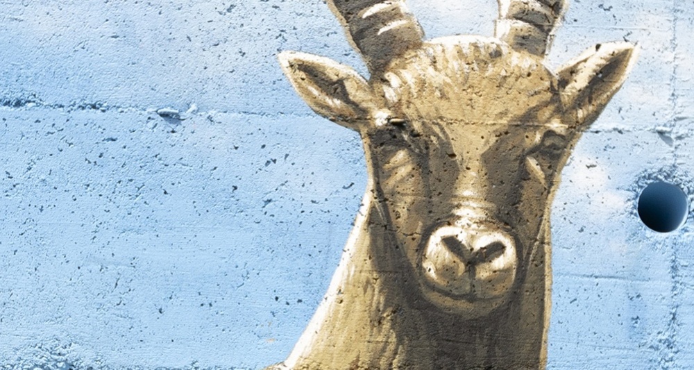 Stambecchi - Anzon - mMoMAm (oua_602105549_image)