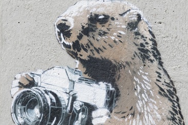 Marmotte - Scuole - mMoMAm (oua_602105605_image)