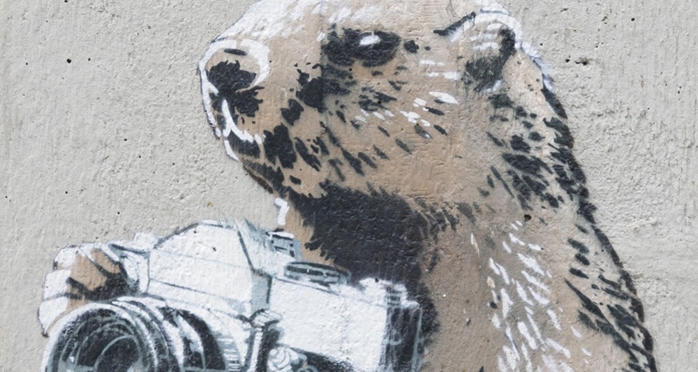 Marmotte - Scuole - mMoMAm (oua_602105605_image)