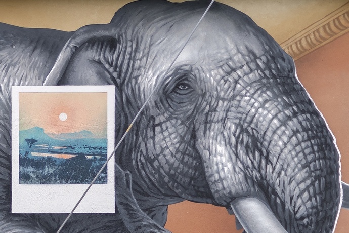 Elefante - Leso - mMoMAm (oua_602105720_image)