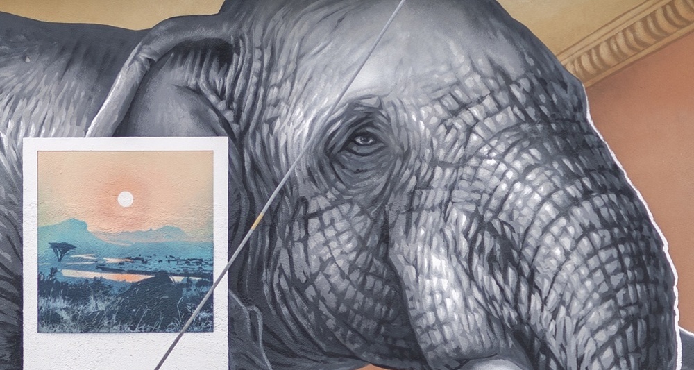 Elefante - Leso - mMoMAm (oua_602105720_image)