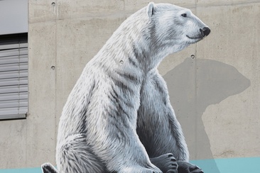 Orsi - Centro - mMoMAm (oua_602105951_image)