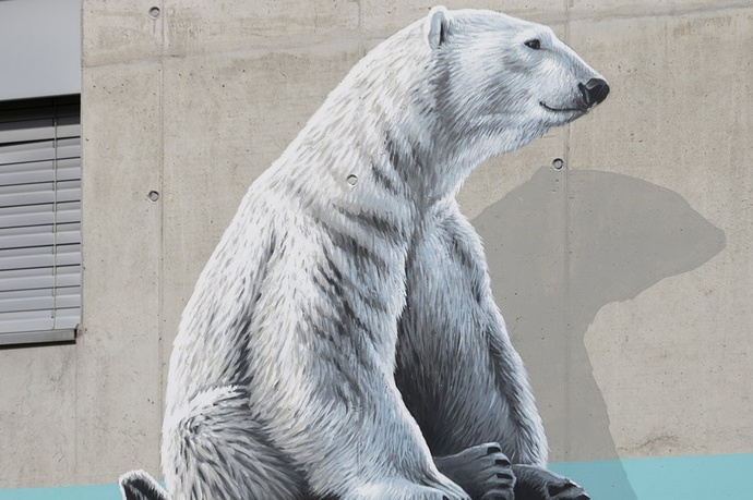 Orsi - Centro - mMoMAm (oua_602105951_image)