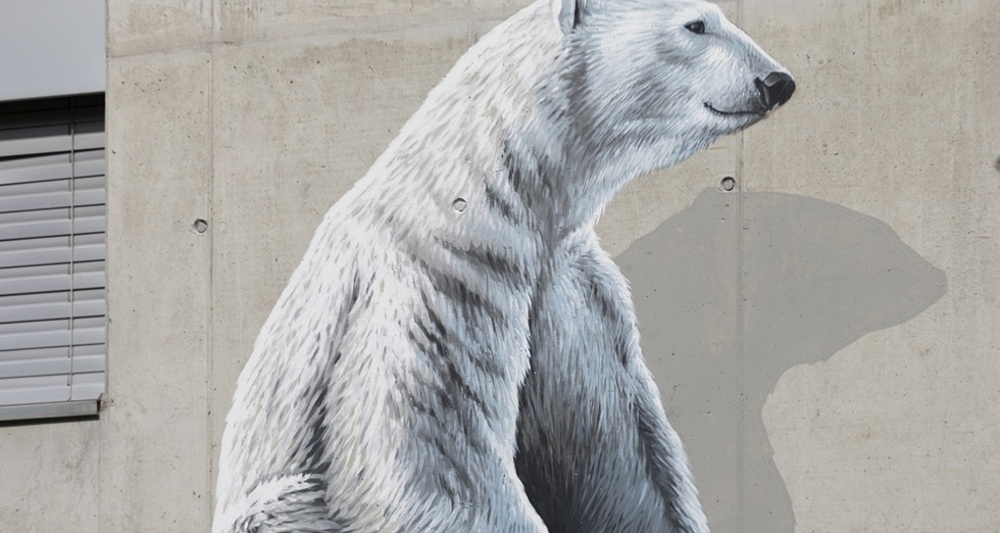 Orsi - Centro - mMoMAm (oua_602105951_image)