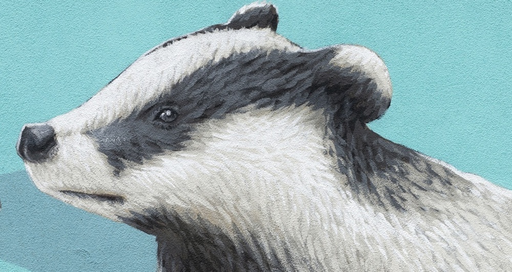 Tassi - Cebbia - mMoMAm (oua_602105998_image)