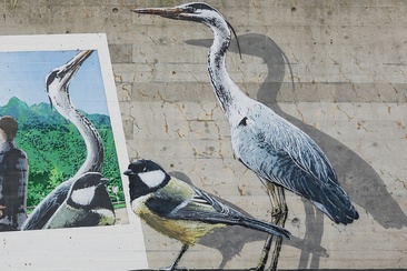 Uccelli - Benabbia - mMoMAm (oua_602106012_image)