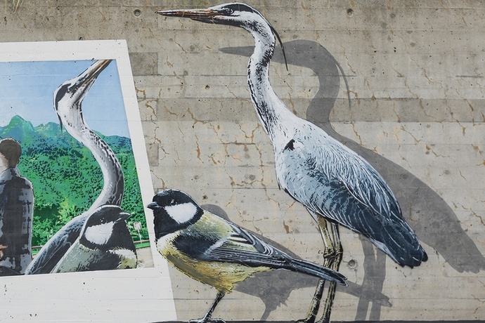 Uccelli - Benabbia - mMoMAm (oua_602106012_image)