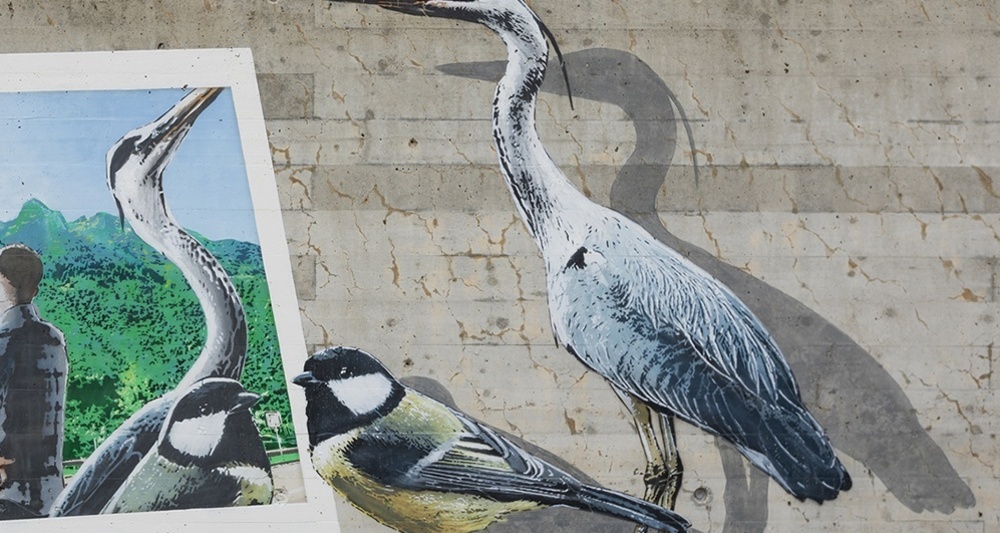 Uccelli - Benabbia - mMoMAm (oua_602106012_image)