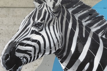 Zebra - Darba - mMoMAm (oua_602106171_image)