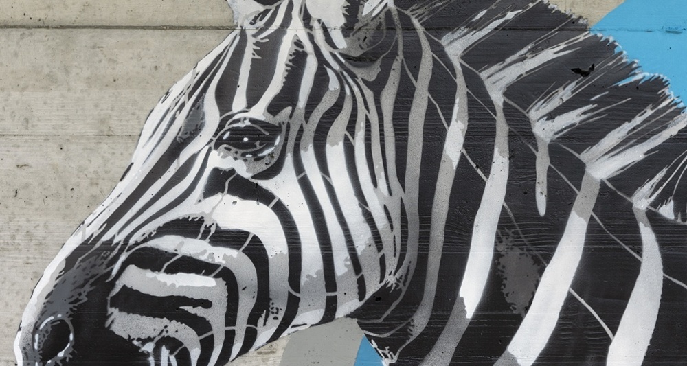 Zebra - Darba - mMoMAm (oua_602106171_image)