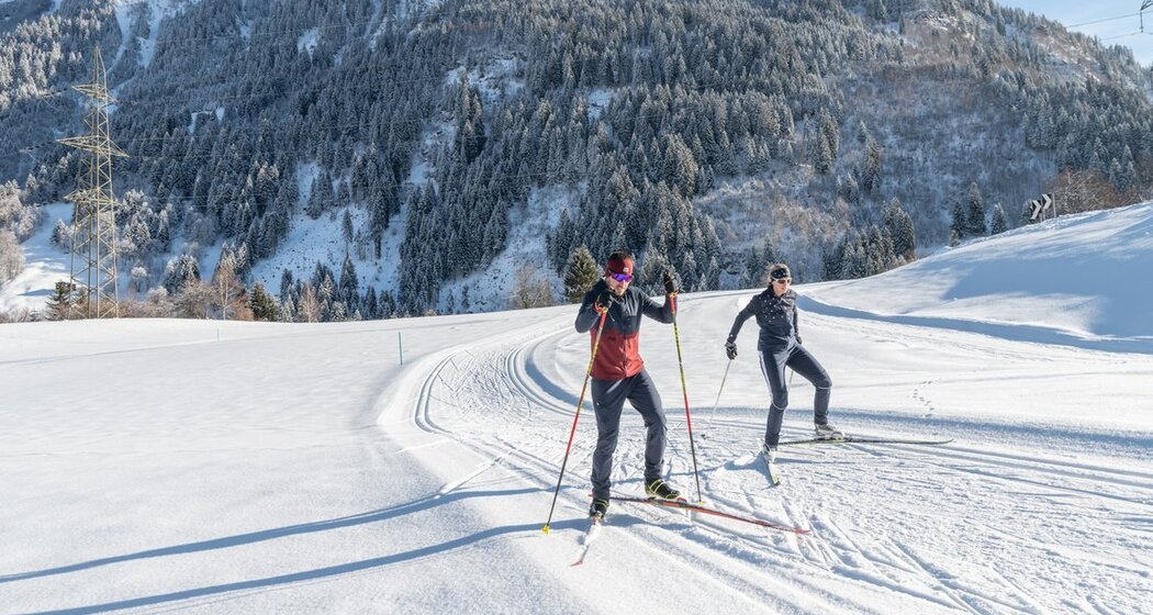 Nordic -Segnas (oua_602142246_image)