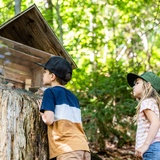Sentier des nains de Klosters (oua_602271555_image)