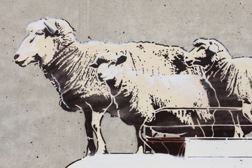 Pecore - Logiano - mMoMAm (oua_602288487_image)