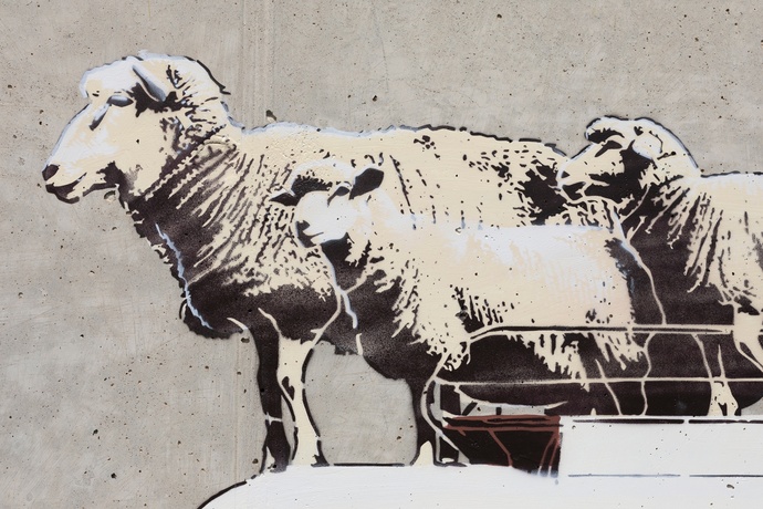 Pecore - Logiano - mMoMAm (oua_602288487_image)