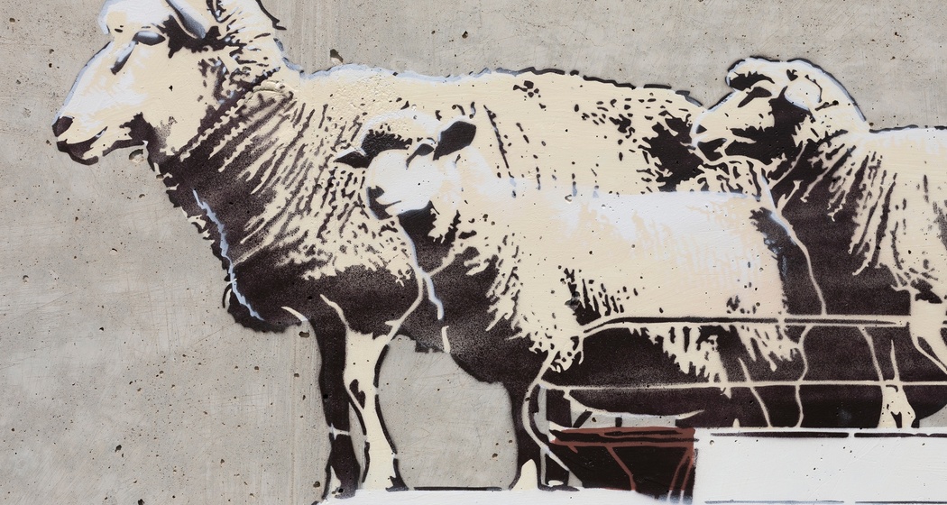 Pecore - Logiano - mMoMAm (oua_602288487_image)