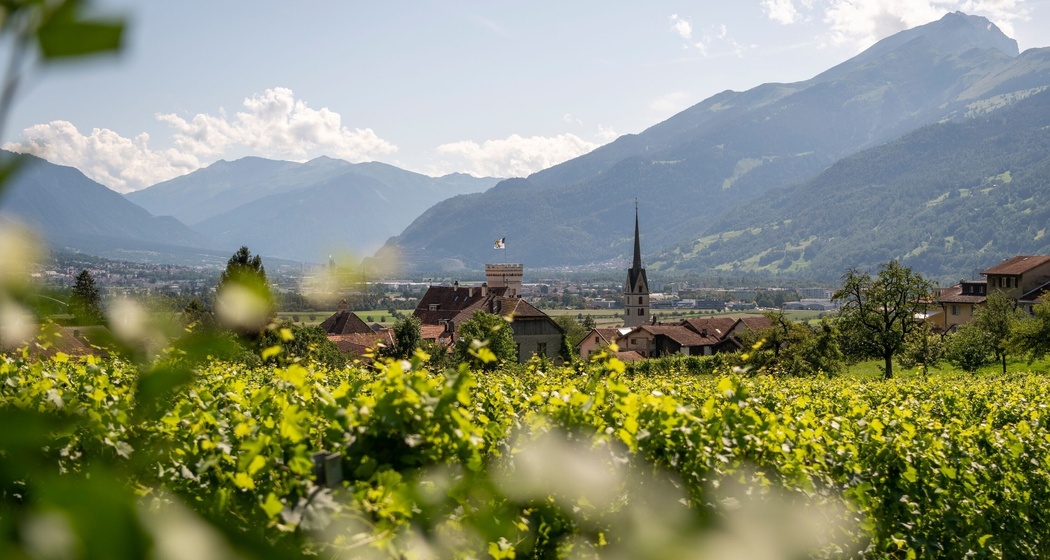Dorf Malans und Reben